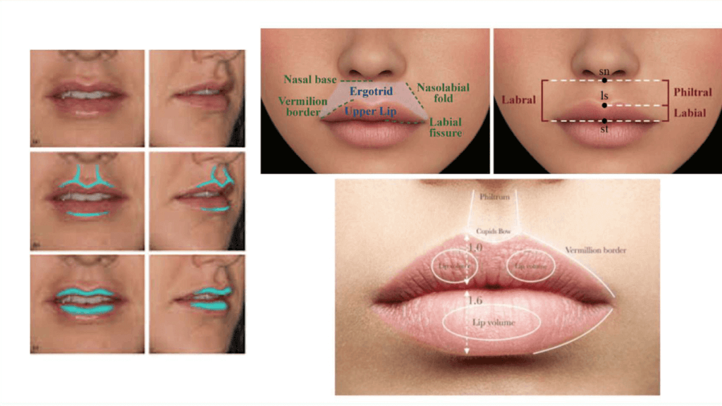 Certificación en Ácido Hialurónico